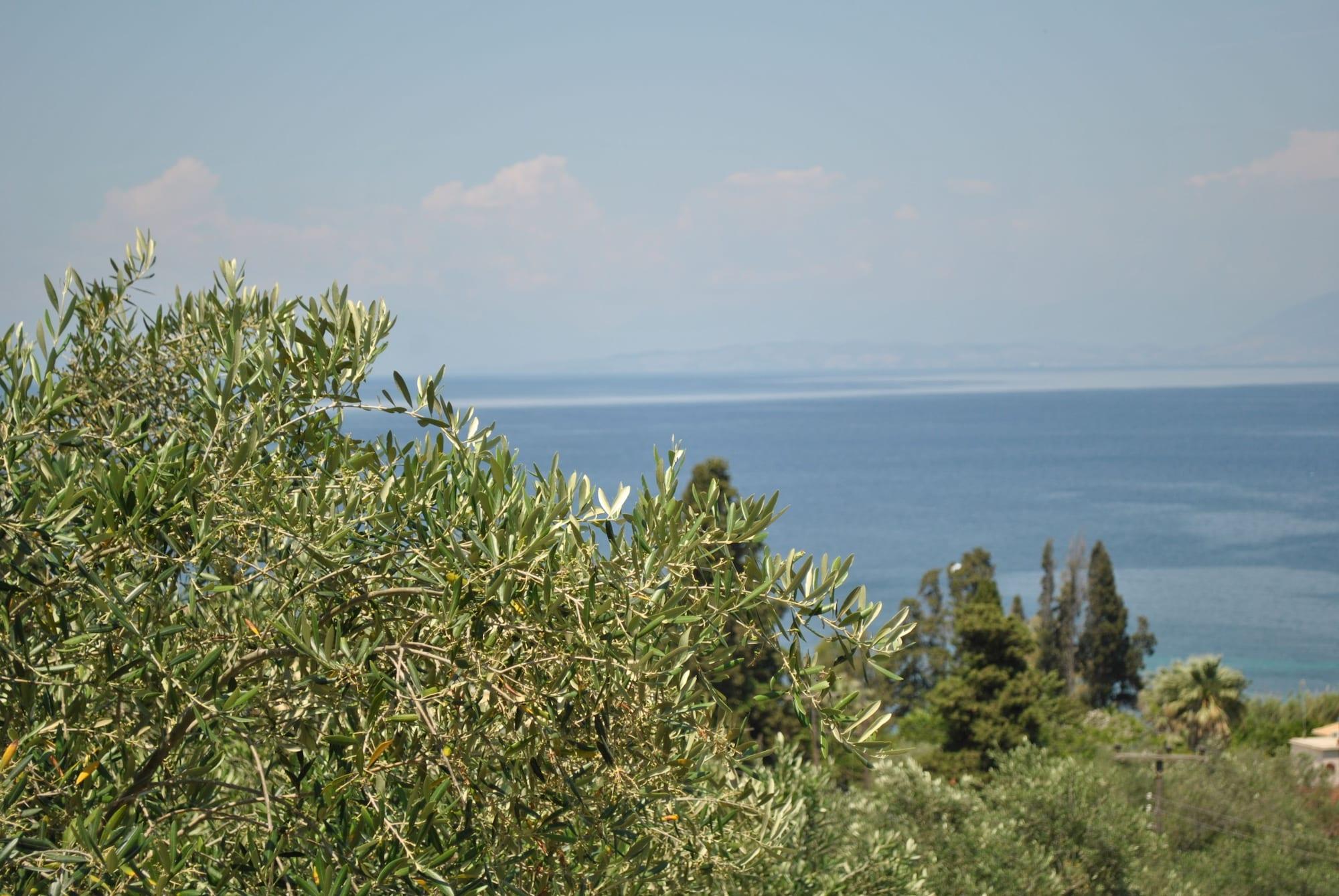 Aparthotel Helios Splendid
