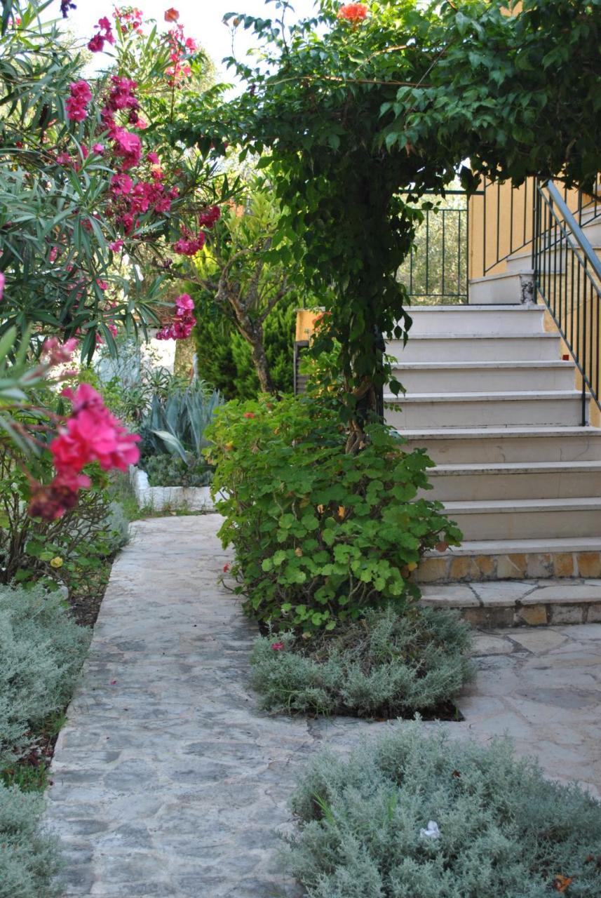 Helios Splendid 3* Boukaris