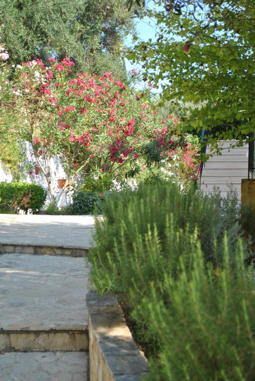 Helios Splendid 3*